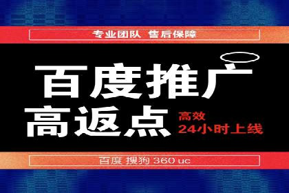 某电商平台的SEM推广策略及效果分析